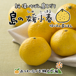 希望の島 媛小春 1kg 家庭用 小玉 お試し品 愛媛 中島産 みかん 愛媛の新柑橘3兄弟(紅まどんな・甘平・媛小春)