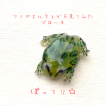 ツノガエルさん上から見た感じぽってりしてますよねブローチ笑