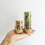 bottle flower set / ボトル フラワー セット