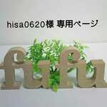 hisa0620様 専用ページ ⚽