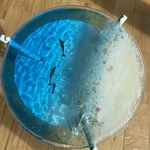 新作　ホワイトビーチ イルカの親子 ガラスガラスサイドテーブル丸 〜Minamo〜
