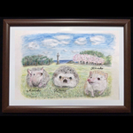 ハリネズミの絵🖼