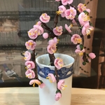 ミニチュア盆栽〈枝垂れ梅〉