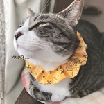 YELLOWペイズリー猫シュシュ首輪