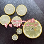 hisachan16様 専用ご購入ページ