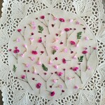 押し花素材　No954　ピンク系可愛い小花のセット