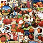 🍎りんごの紙ものセット🍎＊コラージュ素材＊ジャンクジャーナル