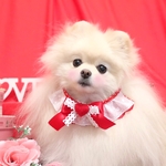 限定品❣️バレンタインリバーシブルチョーカー💖