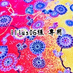 ilius06様 専用