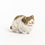 コルクの野良猫