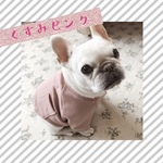 秋冬犬服オーダー★くすみピンク！シンプルポケットトレーナーベージュ白中型犬小型犬フレンチブルドッグパグ