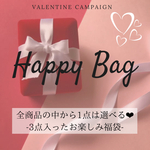 2/14(日)まで【お好きな一点は必ず入る】HAPPYBAG 2021  ピアス/イヤリング/サージカルステンレス/ネックレス