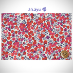 ◆an.ayu様 専用オーダーページ◆
