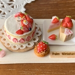 ＊palm miniature＊苺ショートケーキ＆ケーキセット