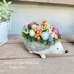 《新作》＊.・.＊。ハリネズミ🦔フラワーポット＊。・＊