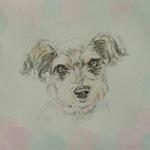 【ふーちゃんマン様オーダー品】愛犬イラスト