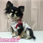 【SALE】イタグレ服🐕犬服✨星⭐️✖️トリコロール🇫🇷タンクトップ☺️❤️