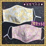 ★フィルターポケット付き＆上下無し★ 2枚セット!! 女性サイズ