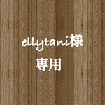 ellytani様専用