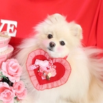 限定品❣️バレンタインデコ盛りあぶちゃん💖赤チェック