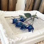 極小スプレー薔薇❣️オリジナル加工ブルーグリーン色❣️ハンドメイド花材ドライフラワー