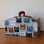 ネコだらけ😺小物入れ カルトナージュ