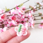 🍡桜色のお皿と三色団子🍡