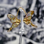 normal model , pretends not notice , （スタッドピアス）