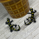 トカゲ：サラマンダー(特別価格)