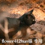 flower412hun様専用　購入コーナー