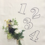 ワイヤーアート　数字　立体数字　誕生日　飾り　ハーフバースデー　セルフフォト