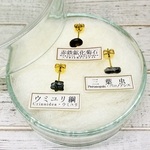 ✴︎送料無料✴︎福袋✴︎化石標本✴︎小粒 アンモナイト・ウミユリ・三葉虫の化石ピアス 3本セット