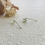 stardust    プレナイト