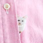 ぴょっこりブローチ（ぶち猫さん）