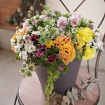 オレンジベージュのプリムラとイベリスの花束植え 