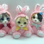 うさぎの着ぐるみシリーズラスト1体🐰🐰🐰　　うさぎの着ぐるみ茶白猫ちゃん🐰🐱　羊毛フェルト　茶白猫　茶トラ猫　スコティッシュ