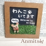 わんこいてます　ウェルカム　ヨークシャーテリア