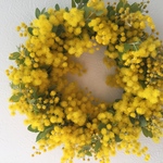 【ご予約残り僅か】fuwafuwa mimosa wreath sizeM