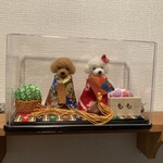 m様ご予約品　わんちゃんお雛様