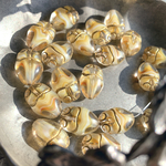 【2コセット】JIRI＊IVANA#czech beads#チェコビーズ　スカラベscarab 19✖️13㎜不規則marble crystal＊beige/bronze