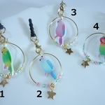 可愛い小鳥ちゃん・スマホ・イヤホンジャック・セキセイインコ・コザクラインコ・インコ・ラブバード