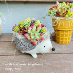 《新作》＊.・.・2月12日までの出品です○＊気まぐれ多肉寄せ植え＊。ハリネズミ・＊＊＊。・＊