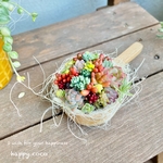 《新作》2月12日までの出品です○手の平サイズ　多肉植物のmini mini ココット⚪︎・.＊
