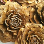花雑貨affectflorさま専用