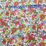 puyopuyo517様専用
