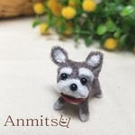 モールちびわんこ　シュナウザー