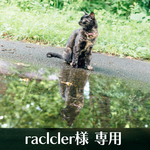 raclcler様専用 購入コーナー
