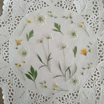 押し花素材　No960　枝付きレースフラワーのミックスセット