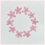天然押し花素材　No.38