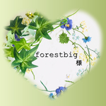 forestbig様専用です